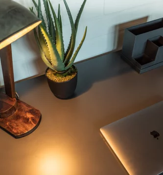 Desk with a lamp, laptop and plant on it